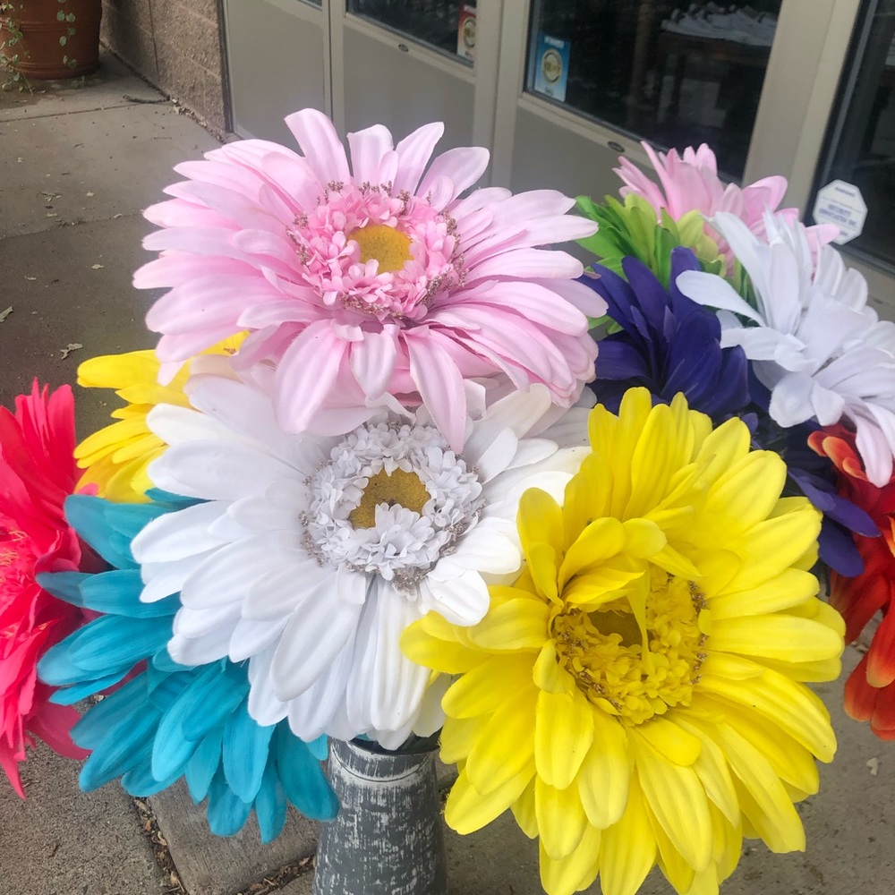 Meet your Posher, Camila